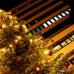 Neues Rathaus mit Weihnachtsbaum