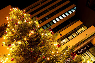 Neues Rathaus mit Weihnachtsbaum